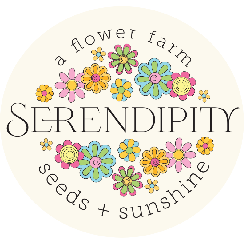 Contact — Serendipity Seeds & Sunshine (2025) Contact — Serendipity Seeds & Sunshine (2025)